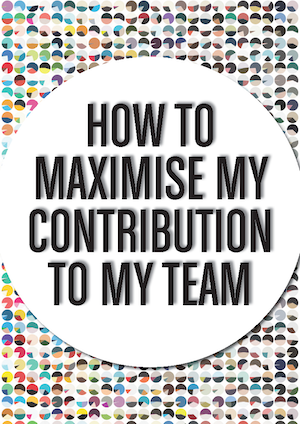 How to Maximise My Contribution to My Team